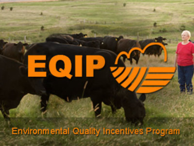 USDA Seeks Input on Environmental Quality Incentives Rule