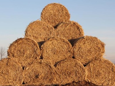 Hay Stock Up from Last Year but Still Below Average