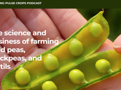 New Podcast Focuses on Growing Pulse Crops
