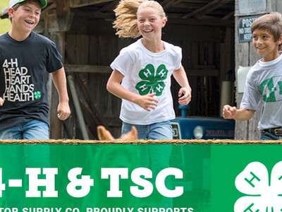 Clover Campaign Raises $1.3 Million for 4-H Youth