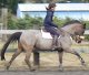 Triming Equine Costs