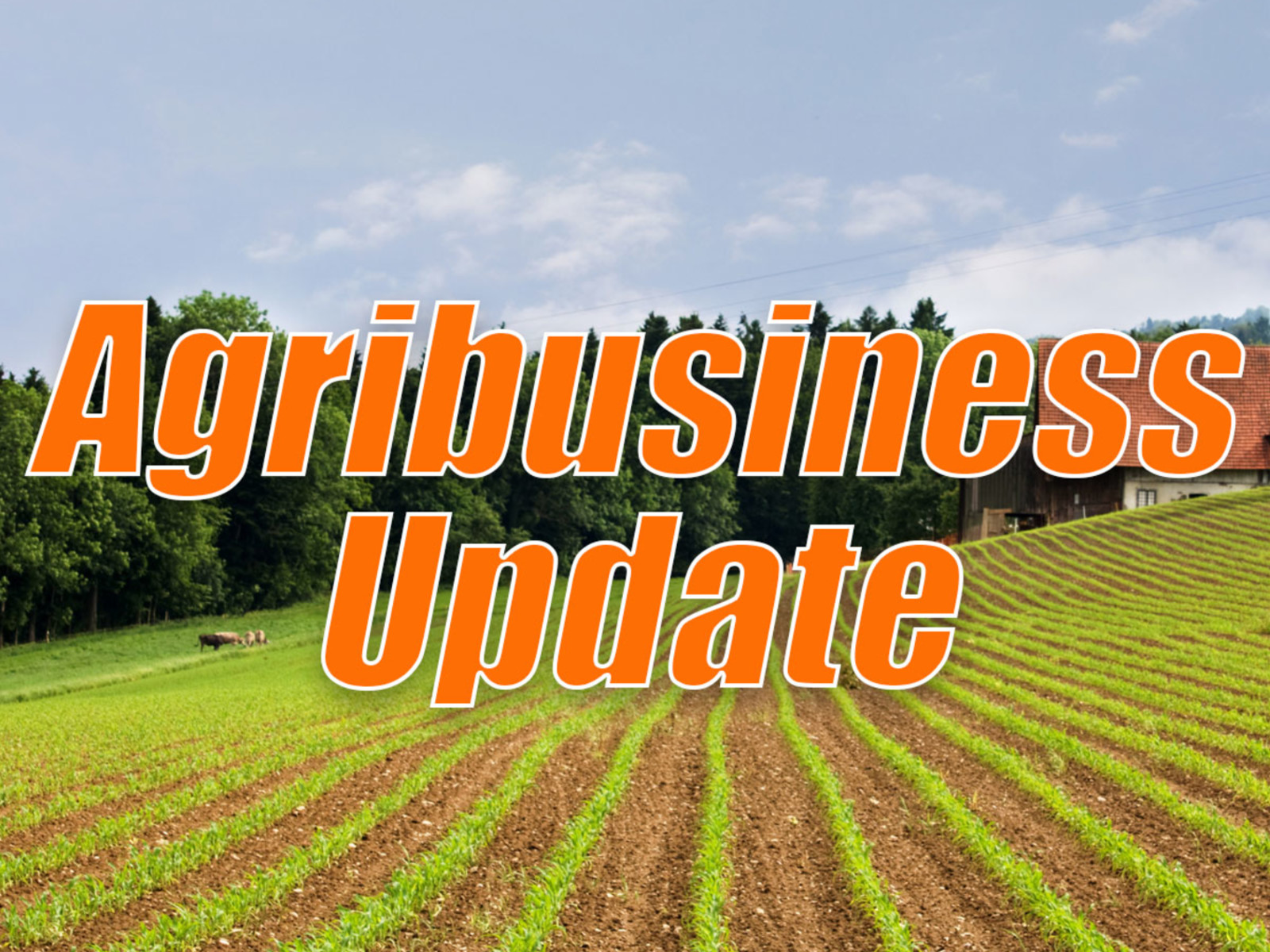USDA Funding Supply Chain Improvement and World Ag Output Down