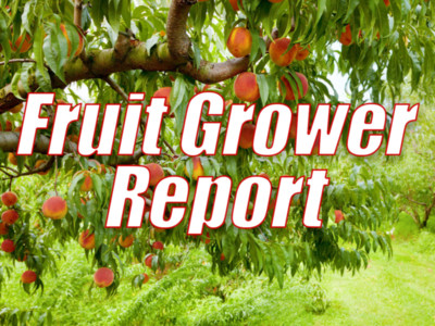Fruit Grower Report