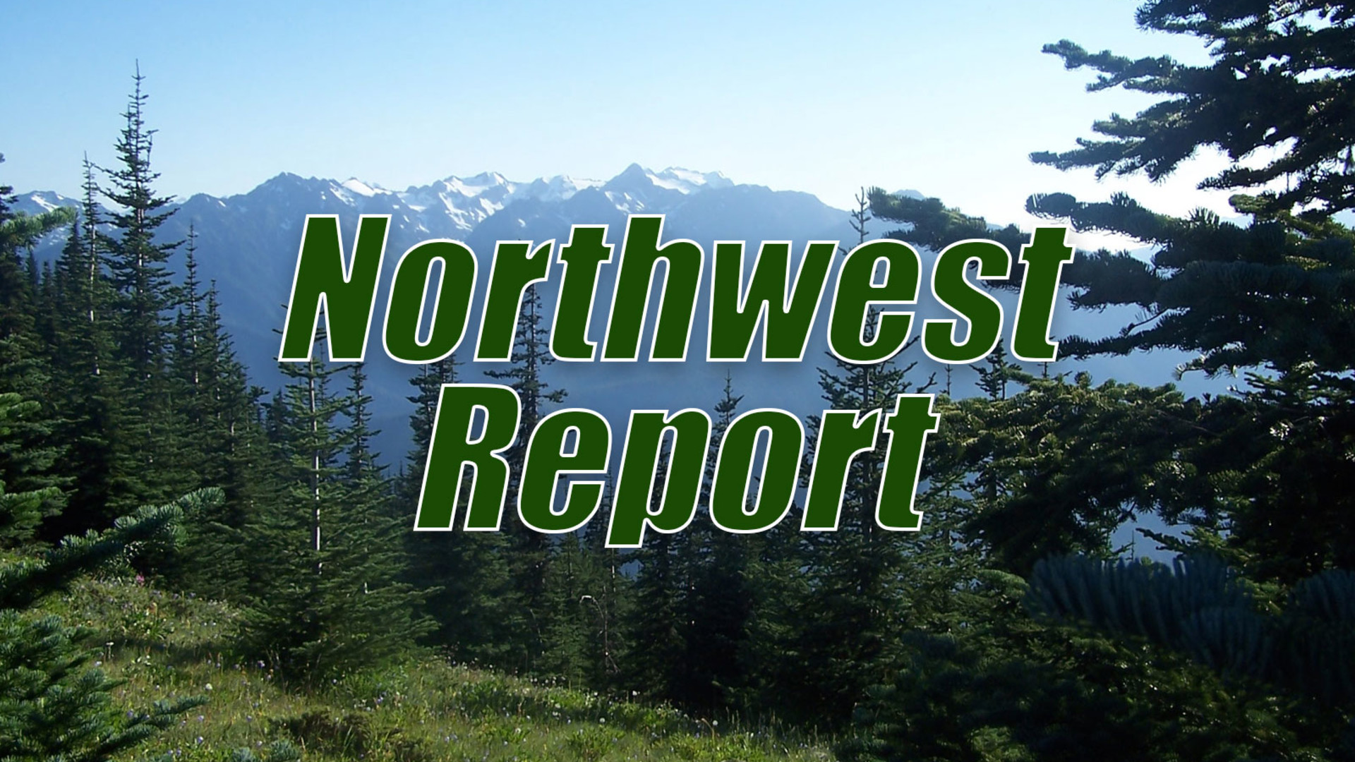 Northwest Report