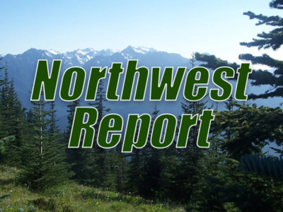 Oregon's Wolf Protection & Restocking Birds