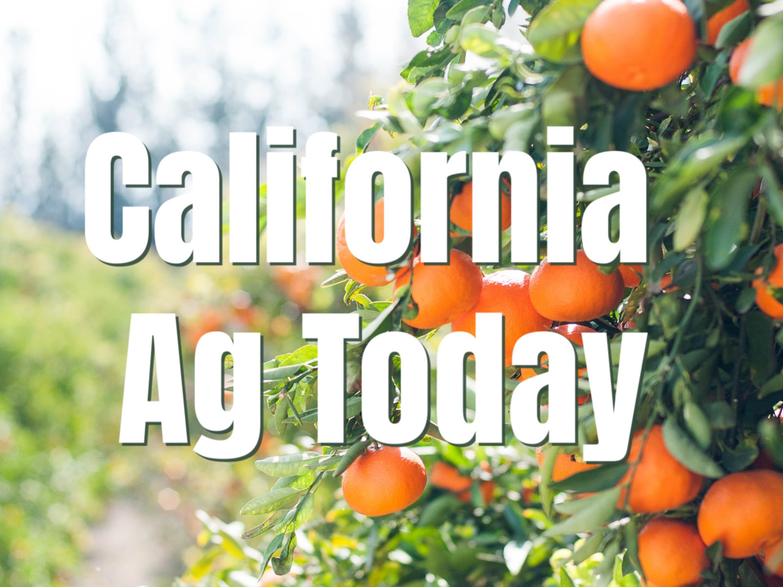 AFBF wants CA Producer Input on Next Farm Bill