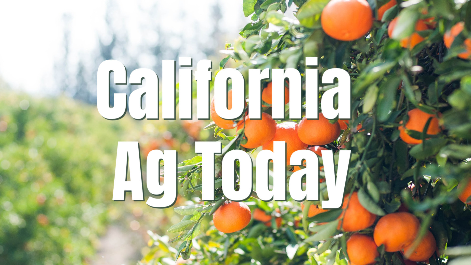 AFBF wants CA Producer Input on Next Farm Bill