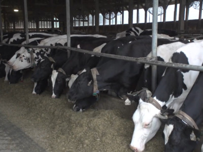 Vilsack says Dairy has a Great Story to Tell