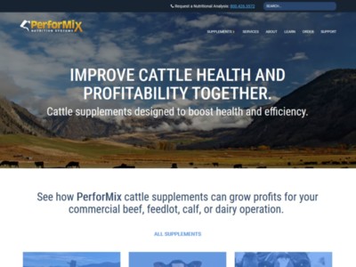 Taking Care of Mother Cows this Thanksgiving Season