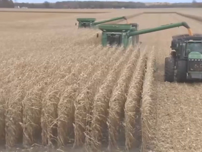 U.S. Corn Harvest the Second Slowest in Last 25 Years