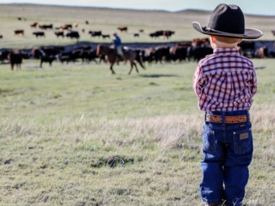 Colorado Agriculture Photo Contest Winner