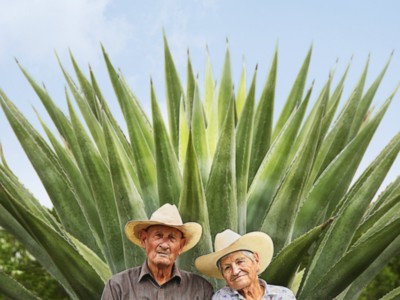 Art Exhibit Honors the American Farmer