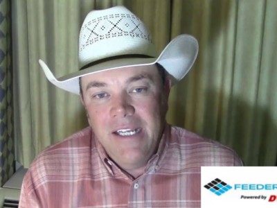Popular Livestock Analyst Gives Thoughts & Predictions on Cattle Market