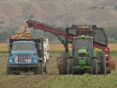 New Survey Finds Americans Get Great Deal on Sugar & Support Sugar Farmers