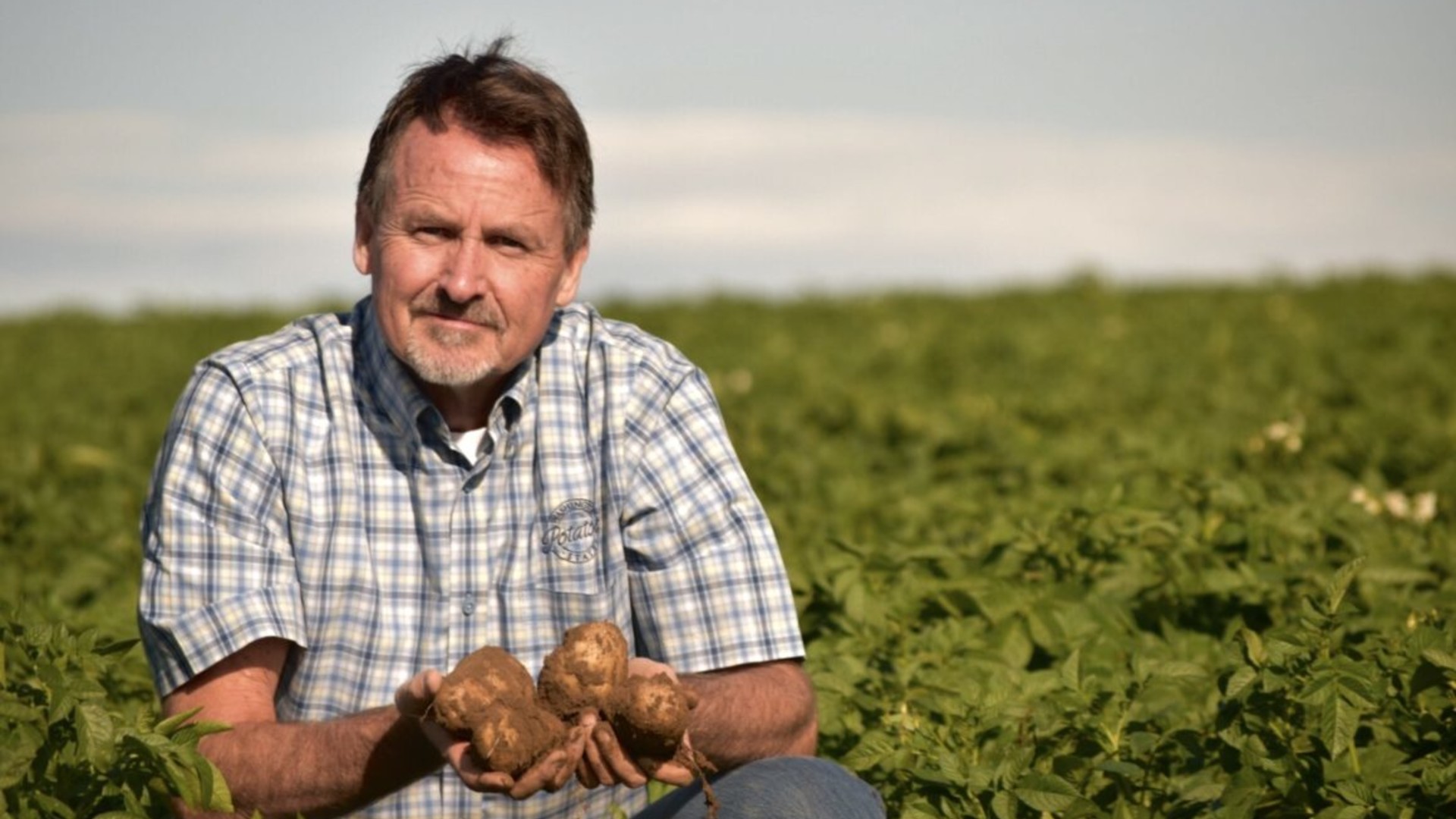 Washington Potato Surplus Pt 3