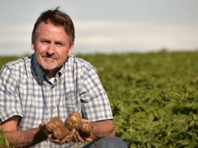 Washington Potato Surplus Pt 3
