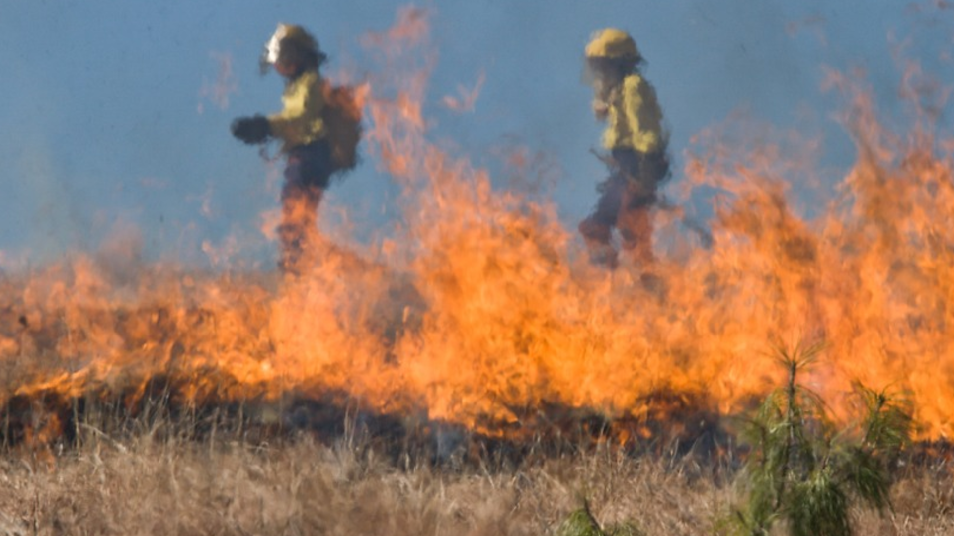NIFC Preps for Elevated Wildfire Season