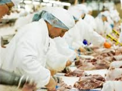 Meat Packing Plants Running Near Capacity