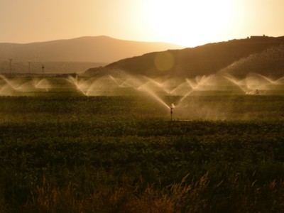 Nitrate Control Program