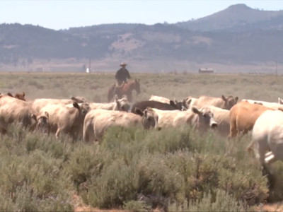 Ranchers Criticize Senate for Irresponsible Passage of Land Grab Legislation