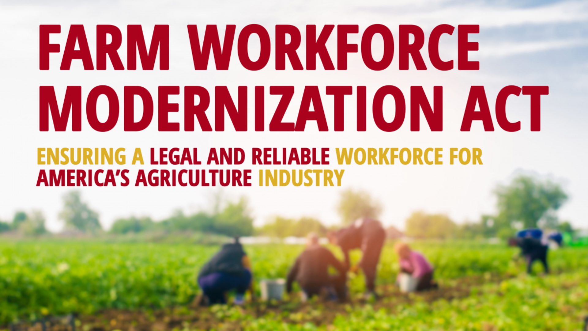 Farm Workforce Modernization Act Update Pt 1