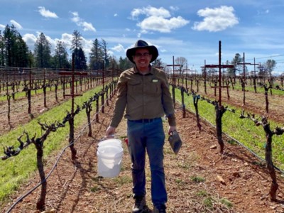 Napa Valley Carbon Farming