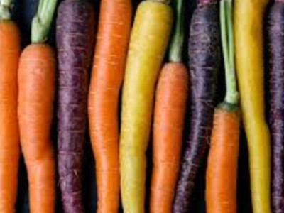 Colorado Carrots are Colorful