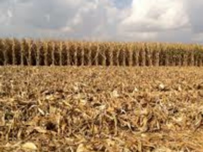 Crop Residue Management