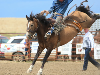 Senate passes resolution declaring July 25 as National Day of the American Cowboy