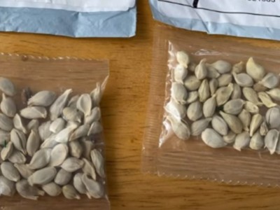 U.S. Residents Receiving Unsolicited Seeds from China