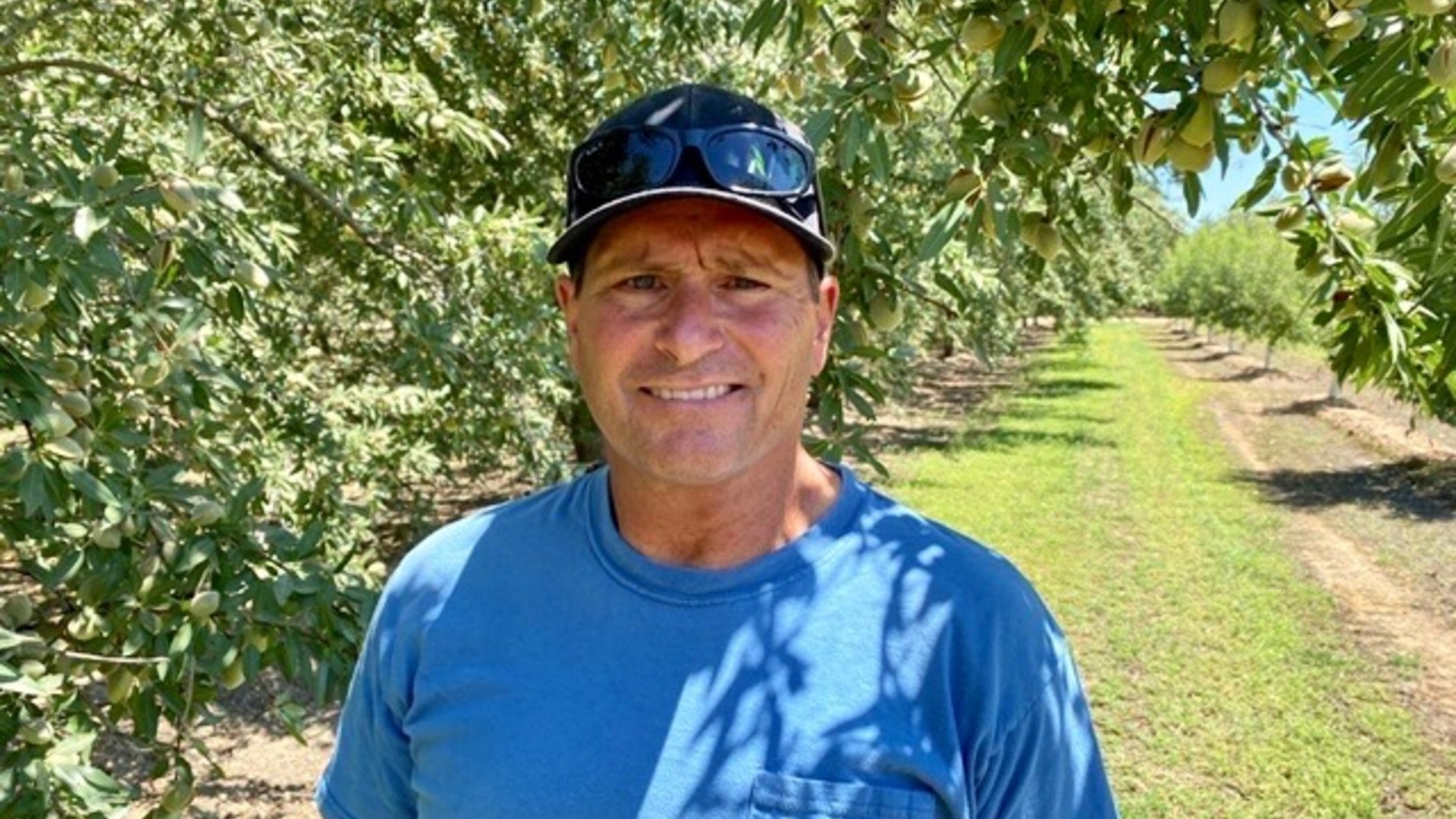 No Debt—Then Low Almond Price is Not So Painful