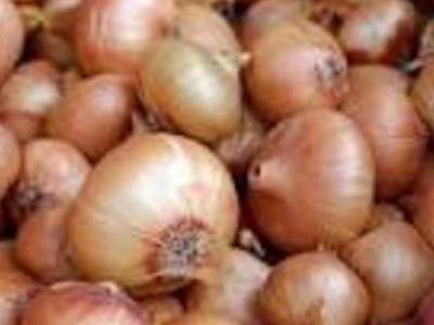 CFVGA Onion Recall