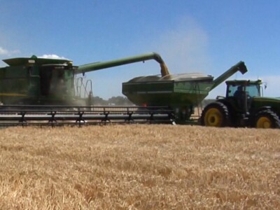 Molson Coors Barley Harvest Underway in Colorado, Idaho, Montana & Wyoming