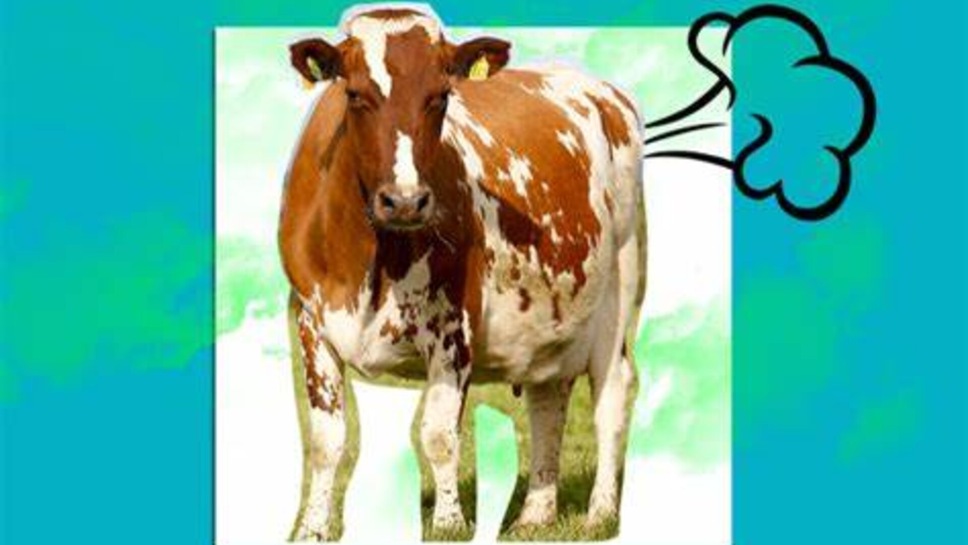 Cow Fart Myths Pt 1