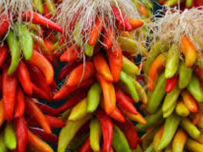 September is for Chile Peppers