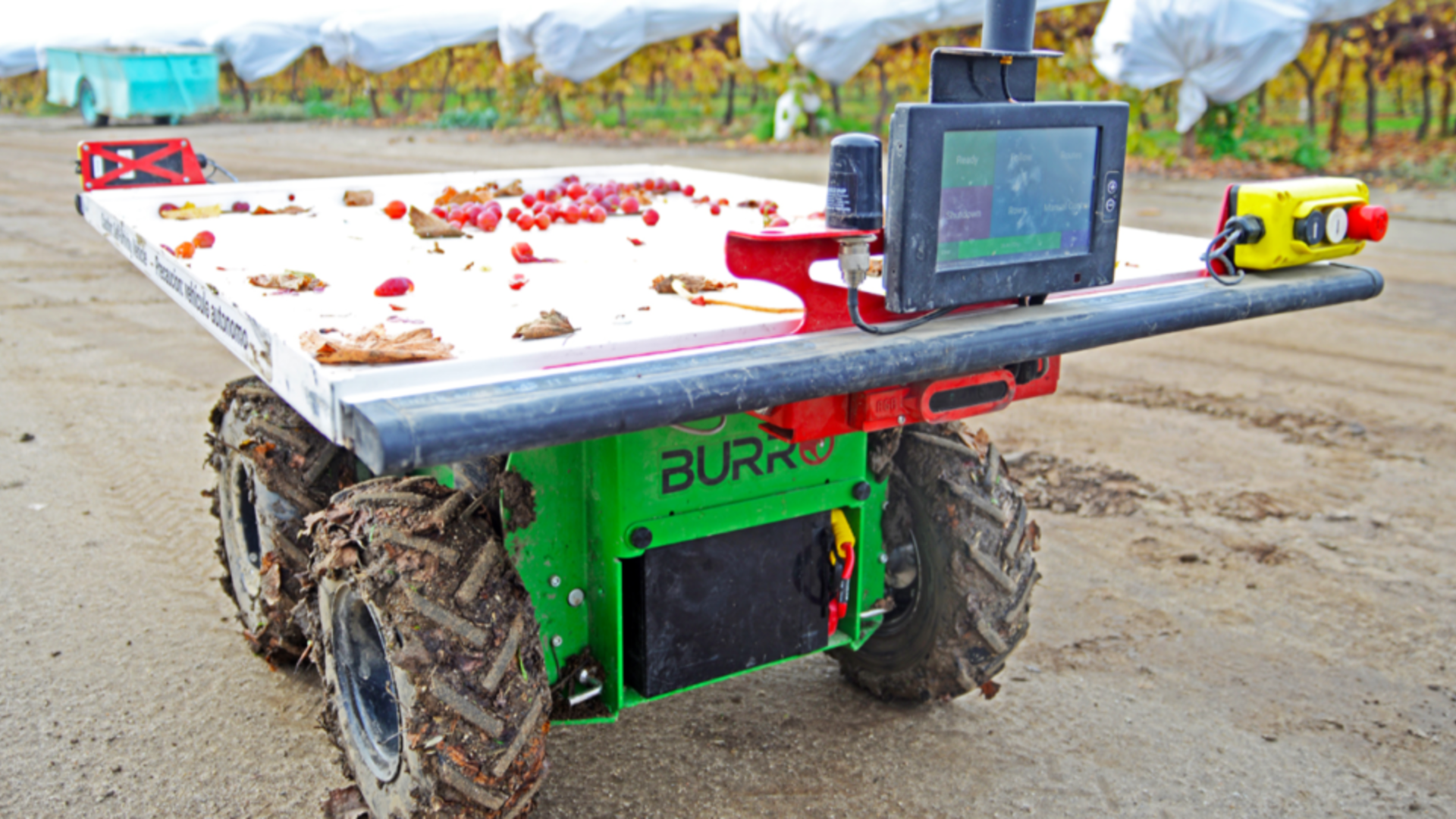 Automation in Specialty Crops