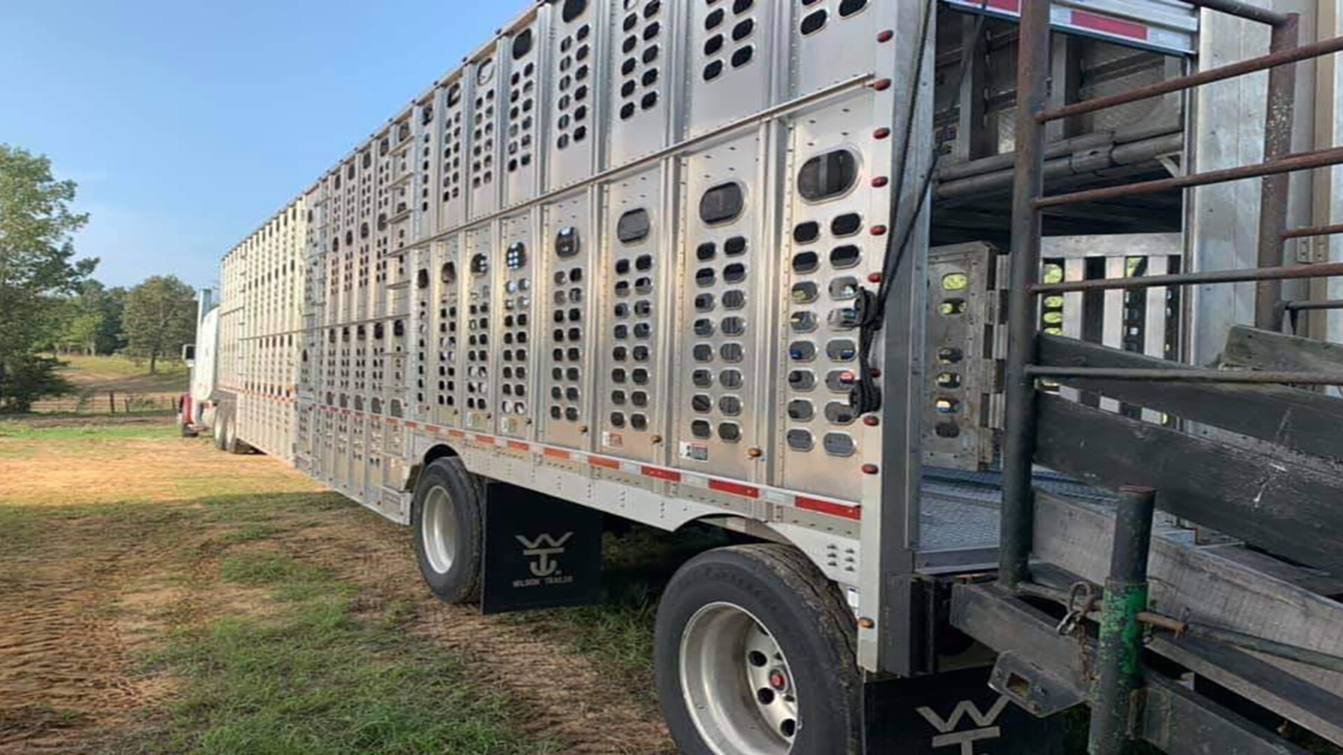 Cattle Producers Welcome Sen. Fischer's HAULS Act