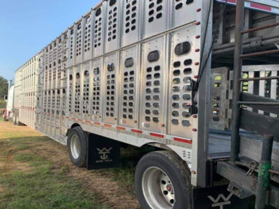 Cattle Producers Welcome Sen. Fischer's HAULS Act