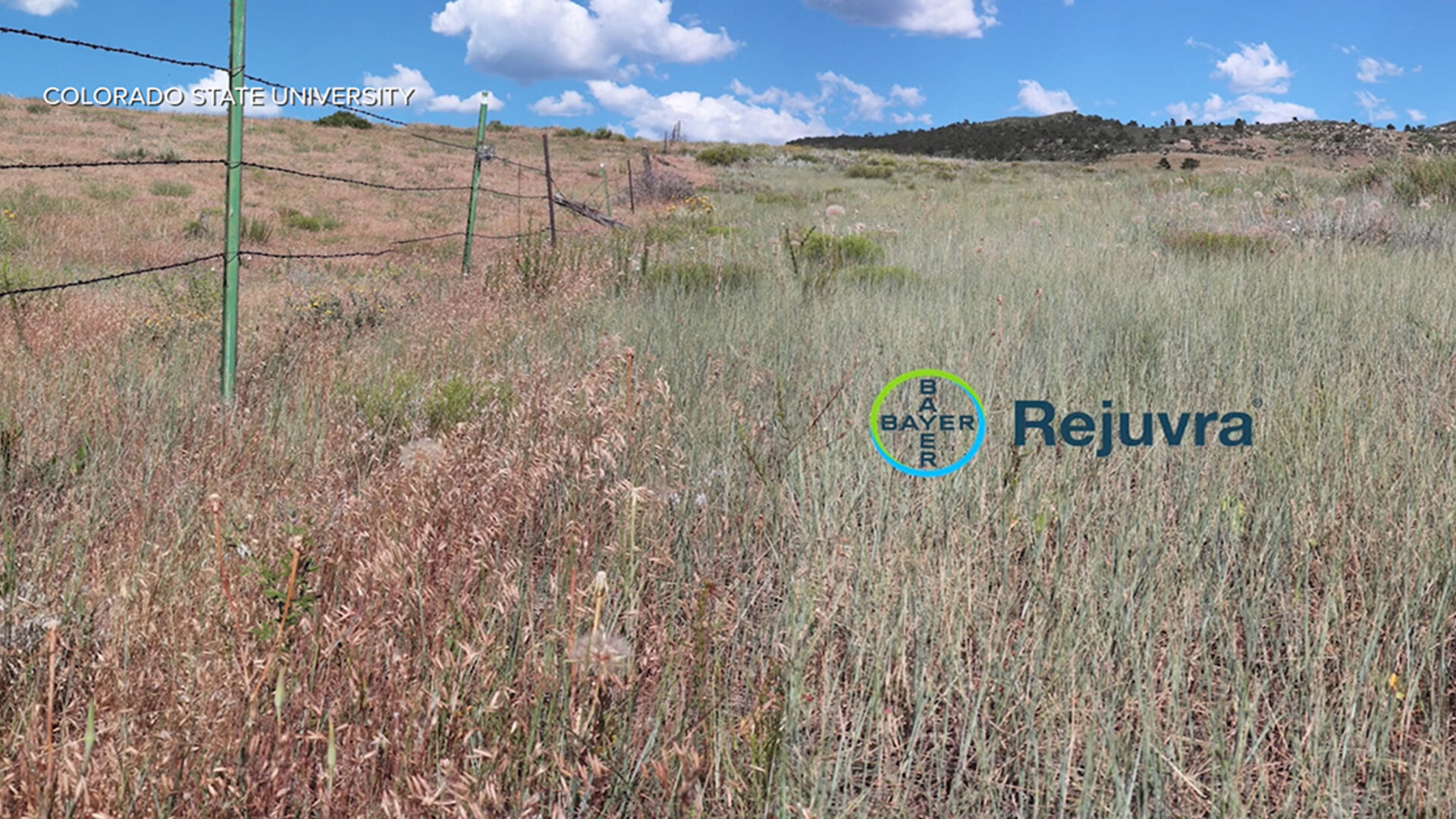 Improve Rangeland Economics with Rejuvra Herbicide