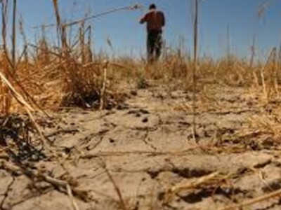 50 Drought Stories
