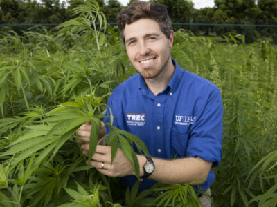 University of Florida's Industrial Hemp Pilot Project