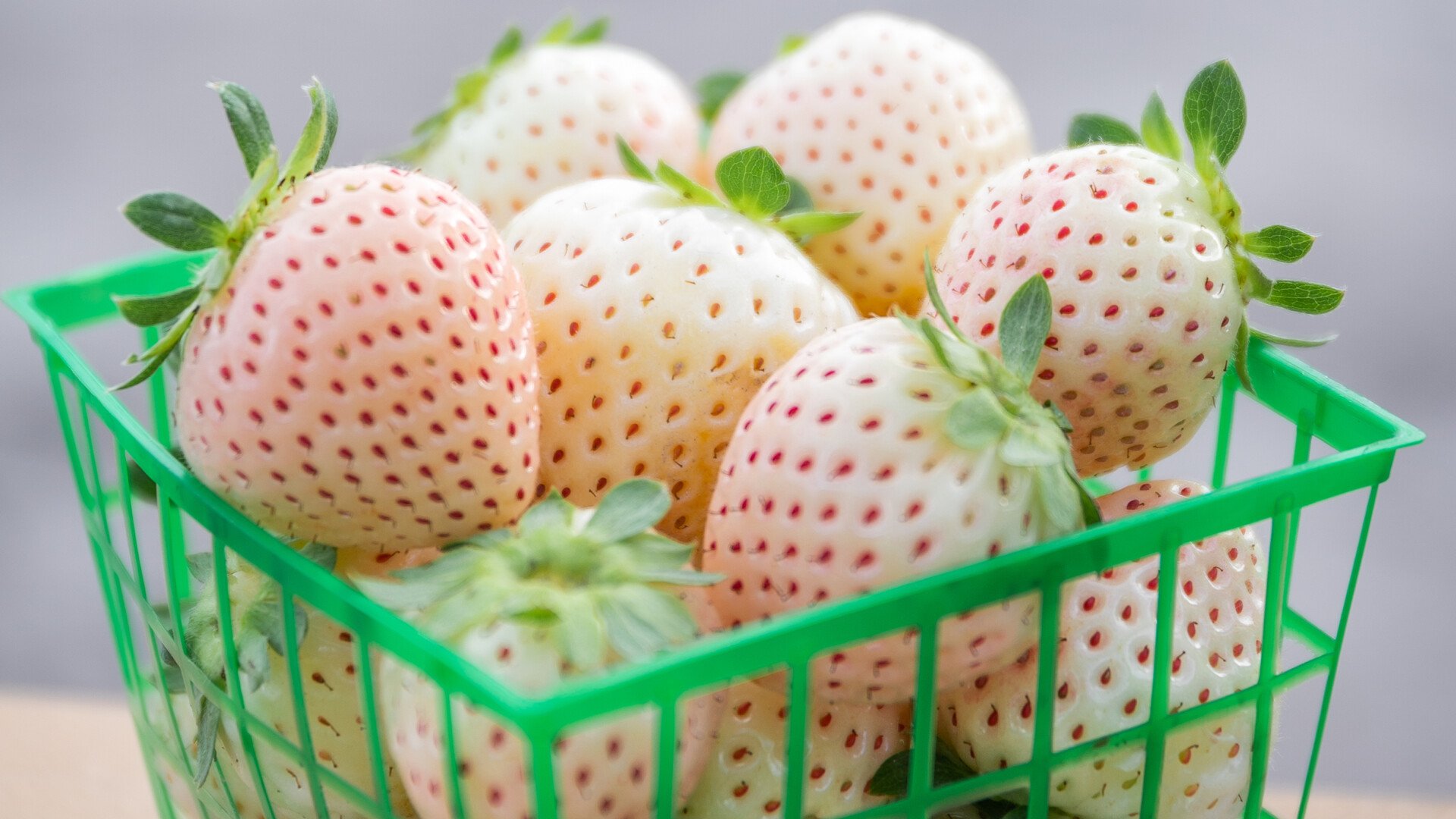 University of Florida Develops White Strawberry Variety