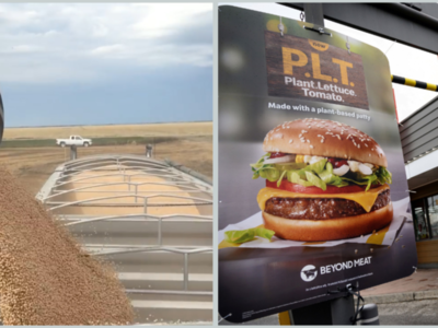 U.S. Pulse Industry Excited about New McPlant Burger
