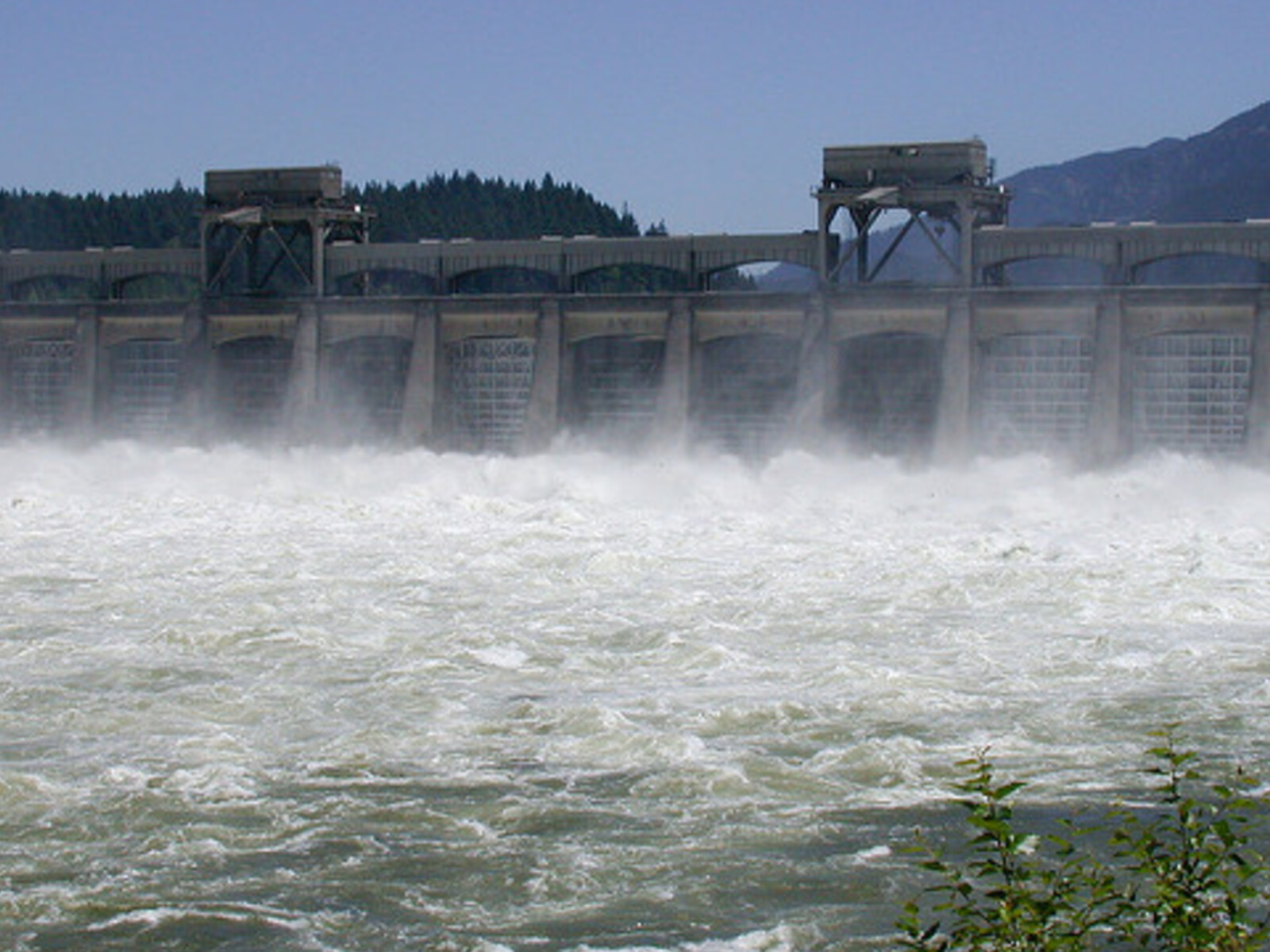 Dams and Salmon Study Pt 2