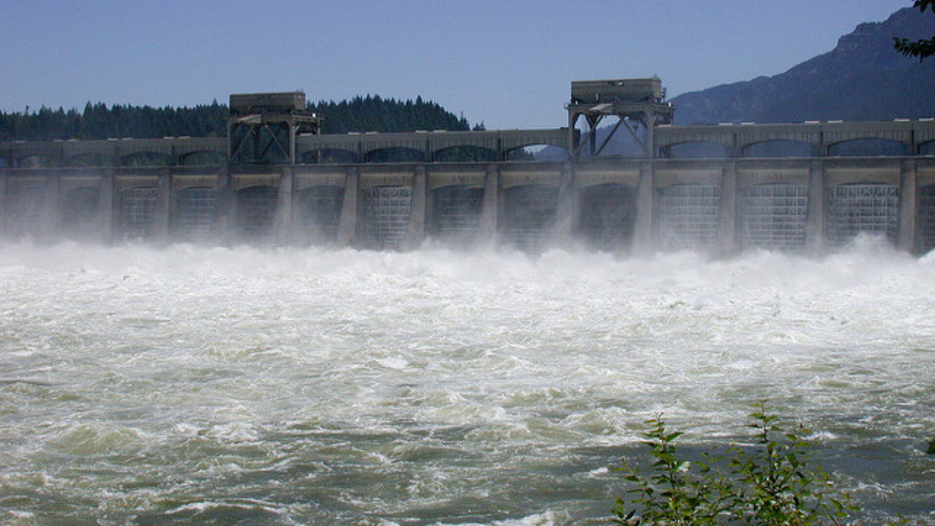 Dams and Salmon Study Pt 2