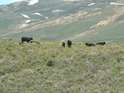 Ranchers Praise Interior Secretary Bernhardt Reining In Land Grab Law