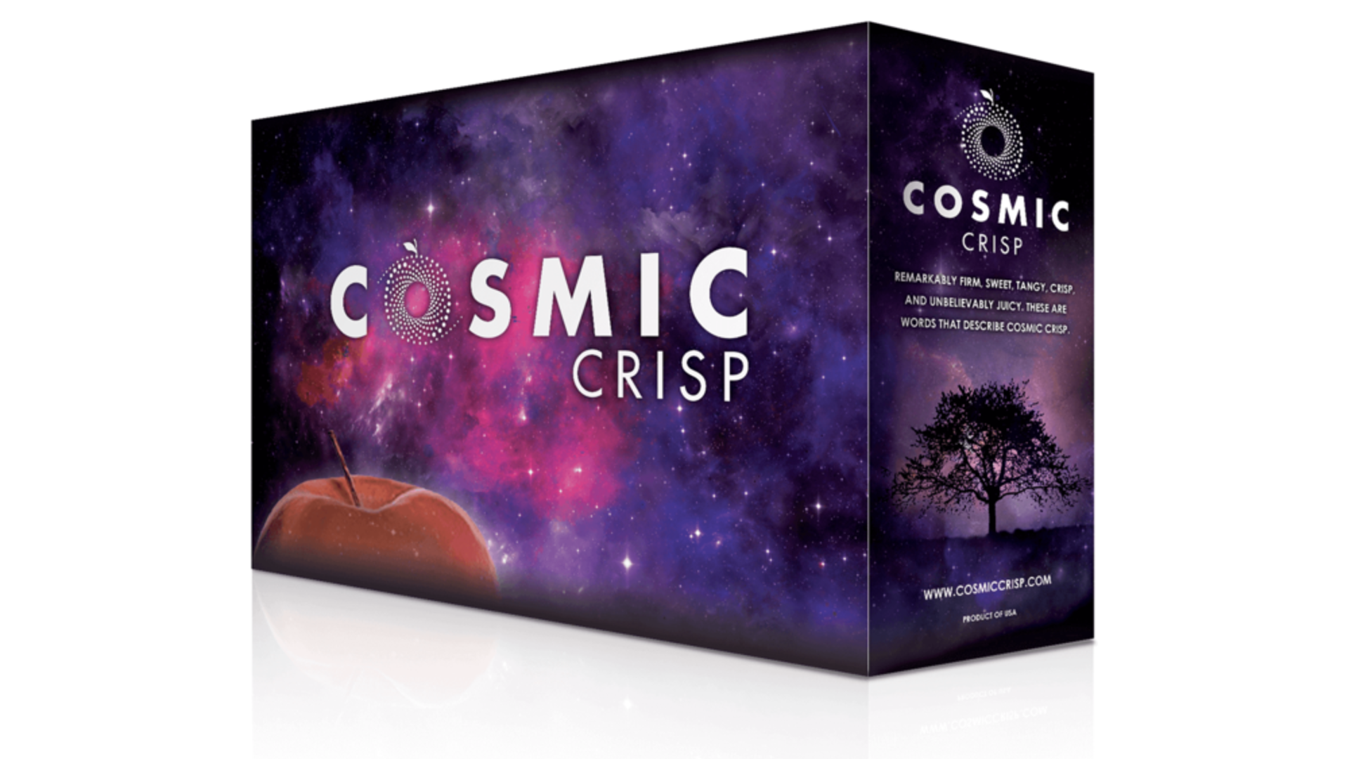 Cosmic Crisp Year 2 Pt 3