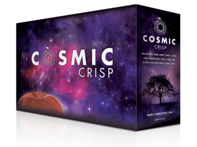 Cosmic Crisp Year 2 Pt 3