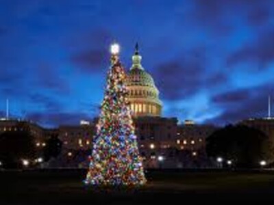 Colorado Sends Capitol Christmas Tree