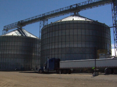 Grain Elevators Capitalize on Price Rally, Potential Volatility Ahead with Inverted Futures Prices